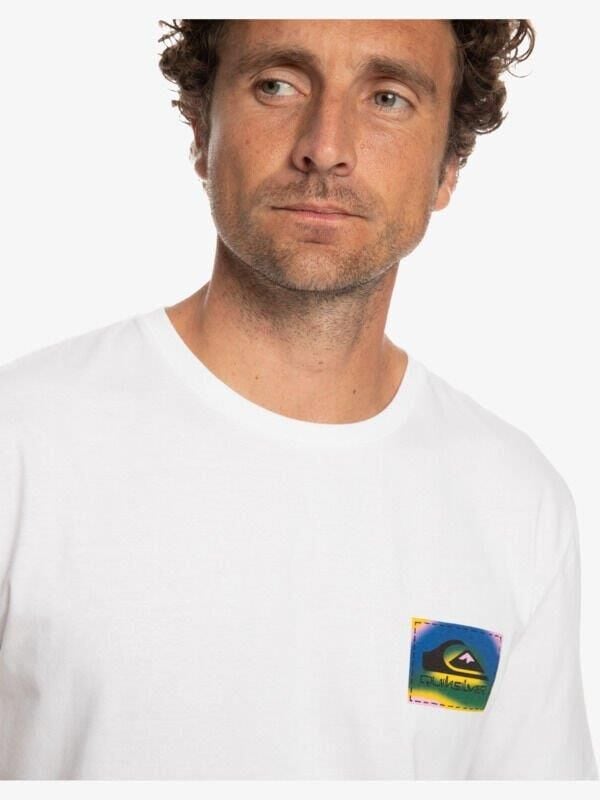 Quiksilver Colourflow Erkek T-Shirt-EQYZT07229