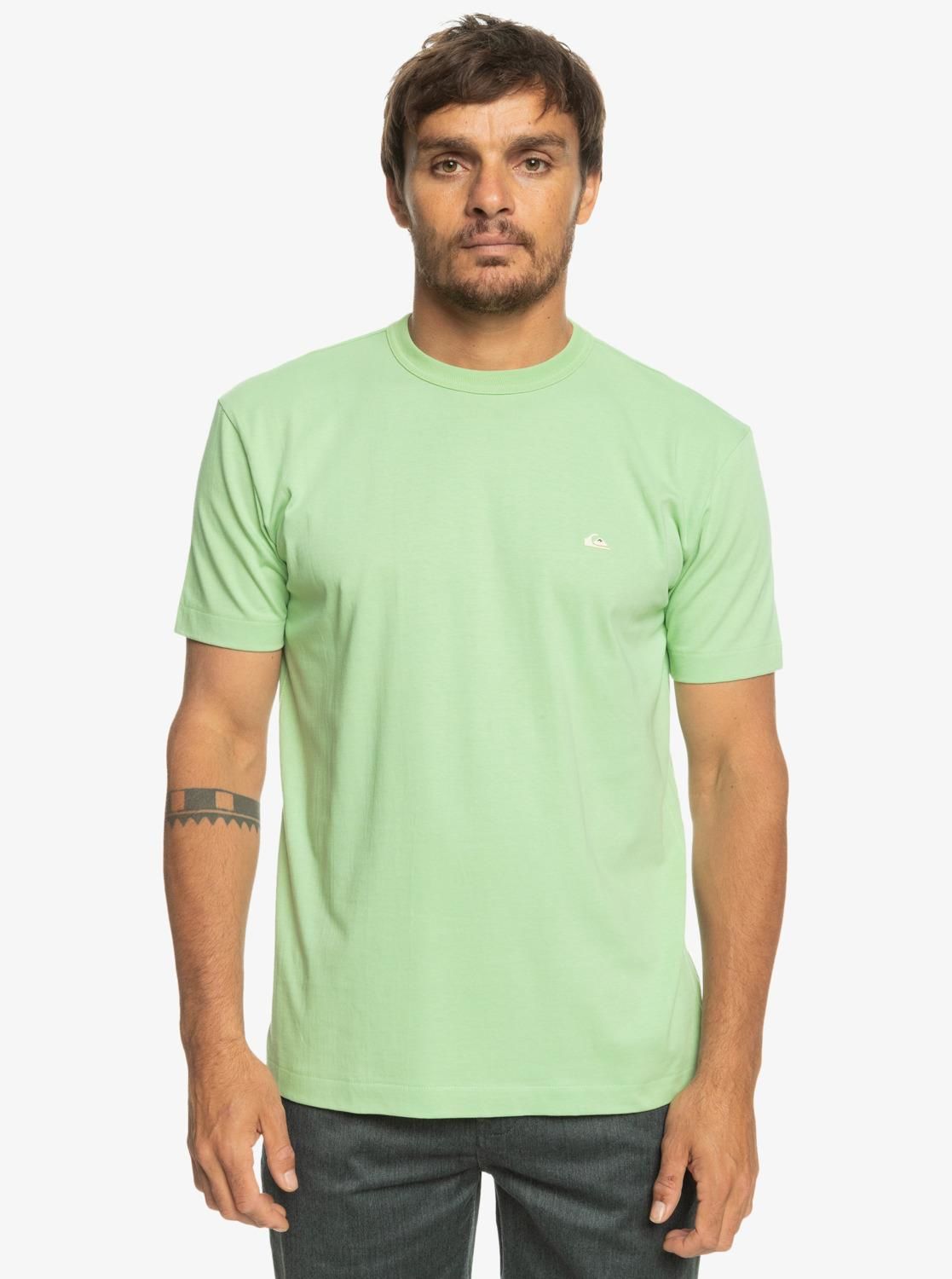 Quiksilver Essentials SS Erkek T-Shirt-EQYKT04092