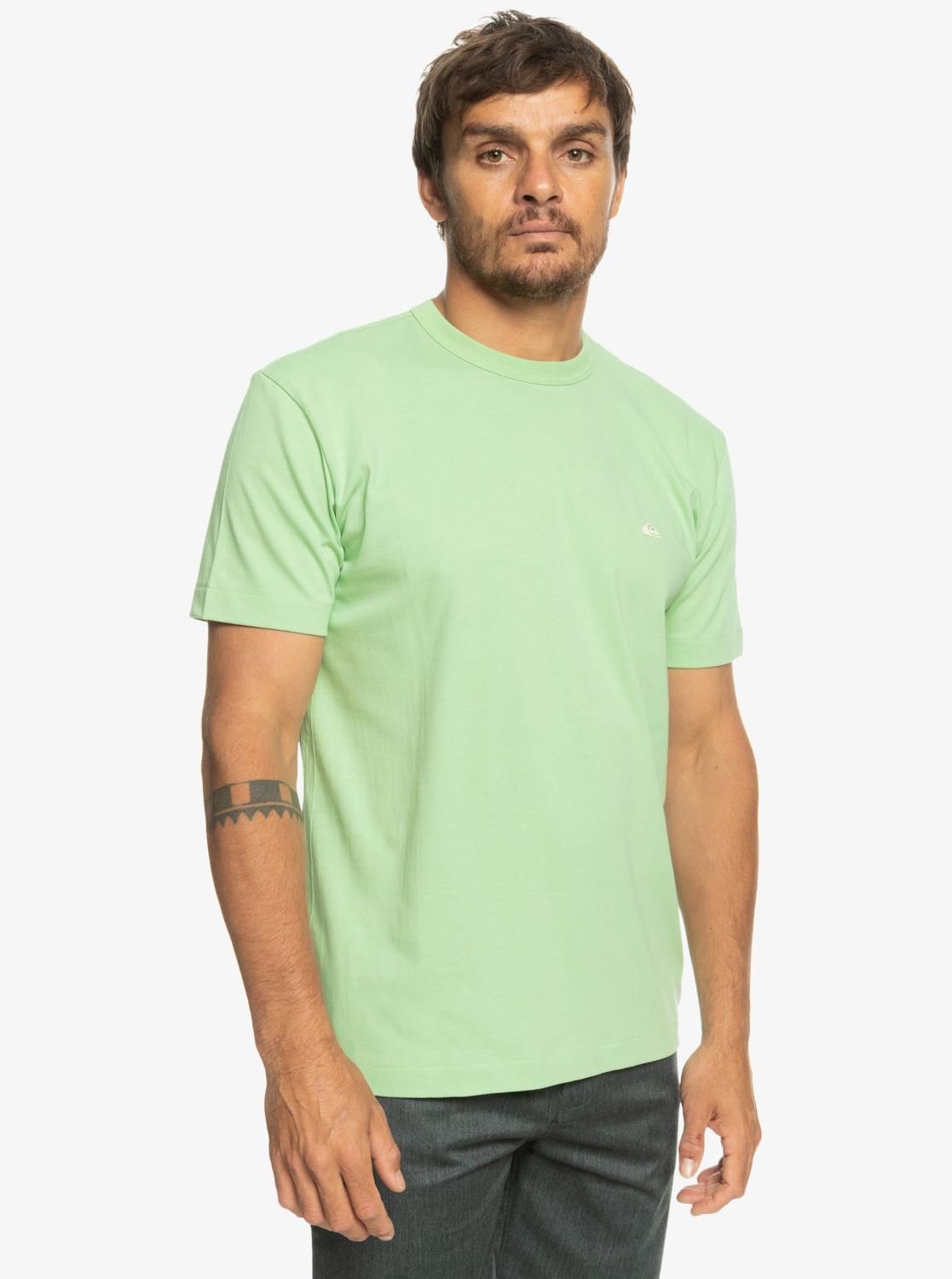 Quiksilver Essentials SS Erkek T-Shirt-EQYKT04092