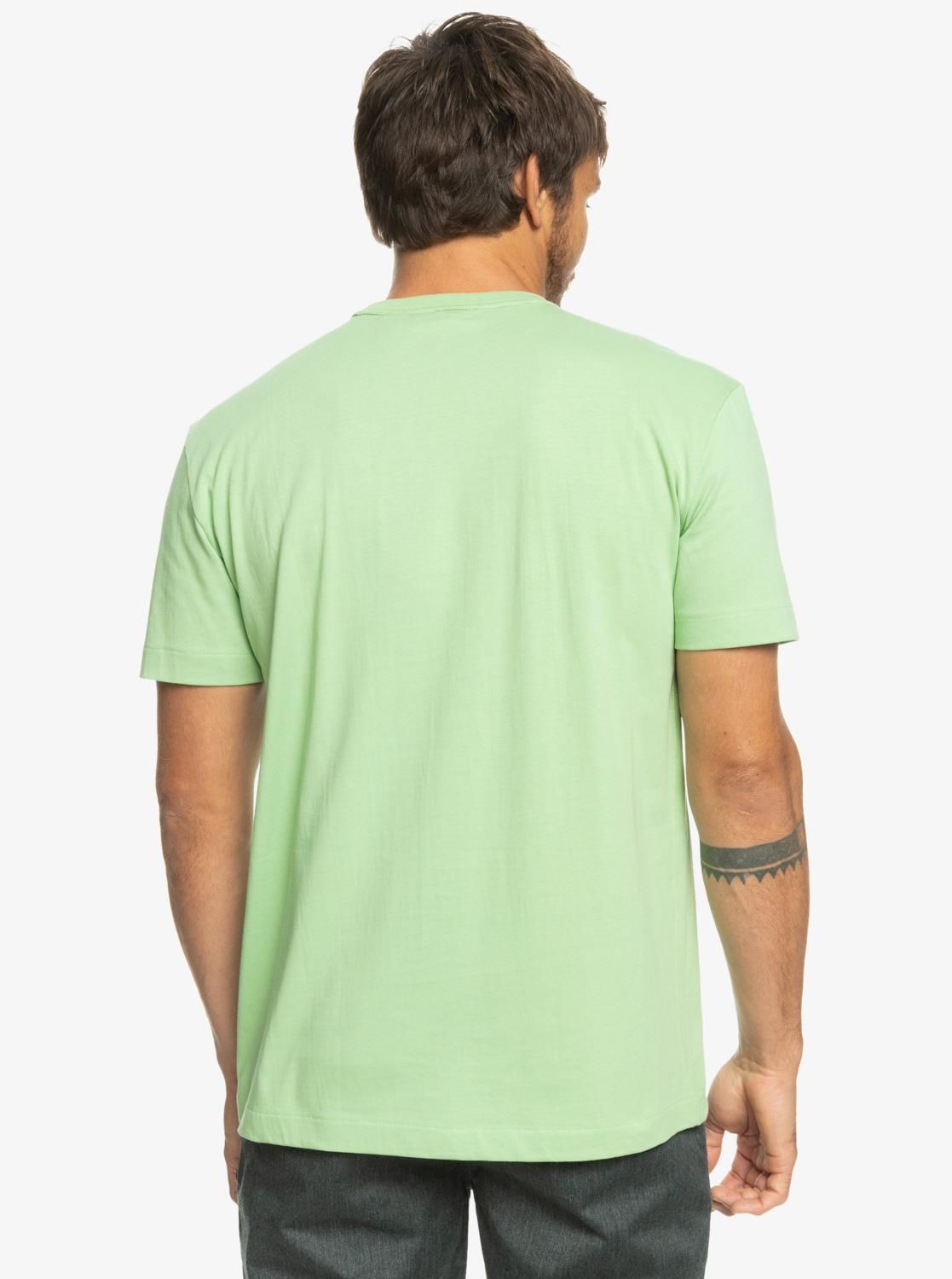 Quiksilver Essentials SS Erkek T-Shirt-EQYKT04092
