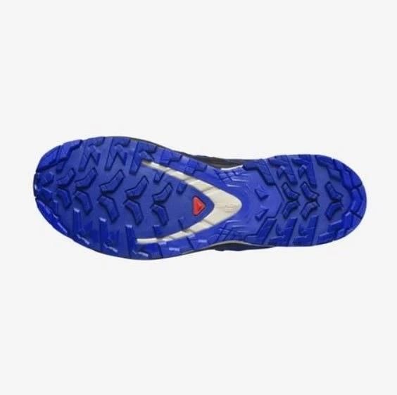 Salomon Xa Pro 3D V9 Gore-Tex Erkek Patika Koşu Ayakkabısı-L47270300