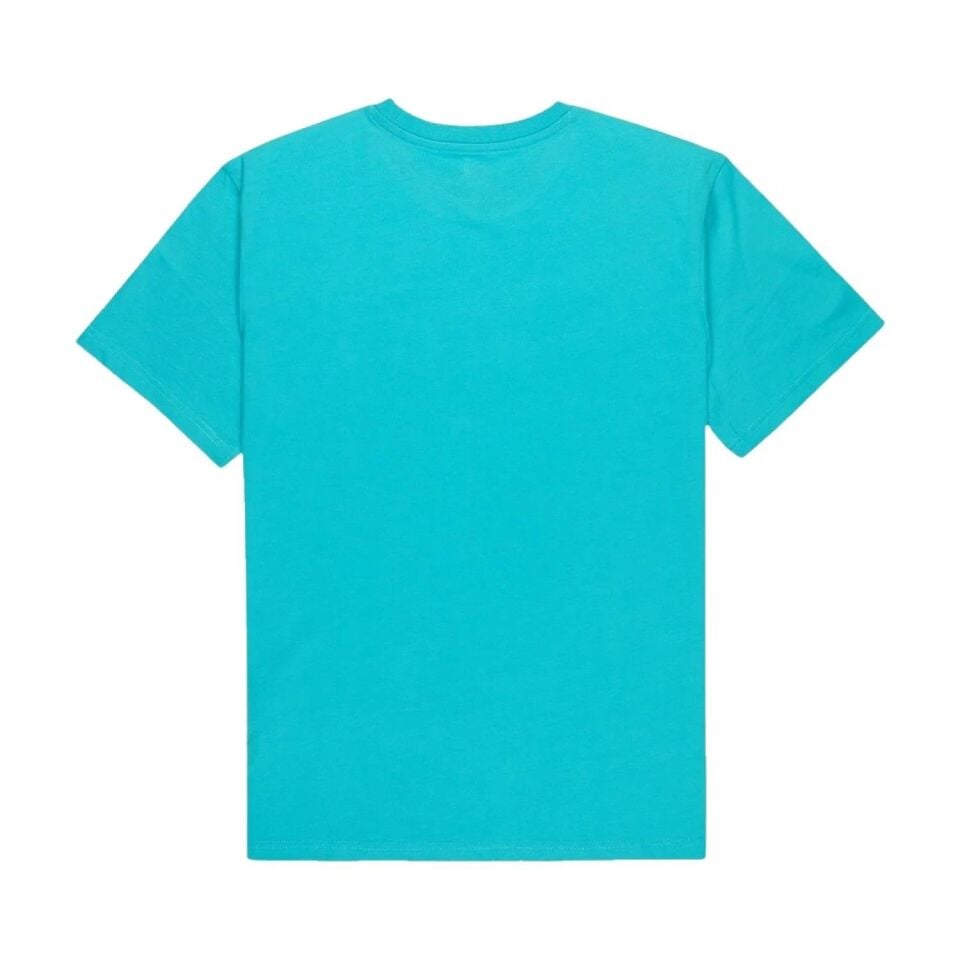 Quiksilver Basic Screen Ssym Erkek T-Shirt-EQYZT07711