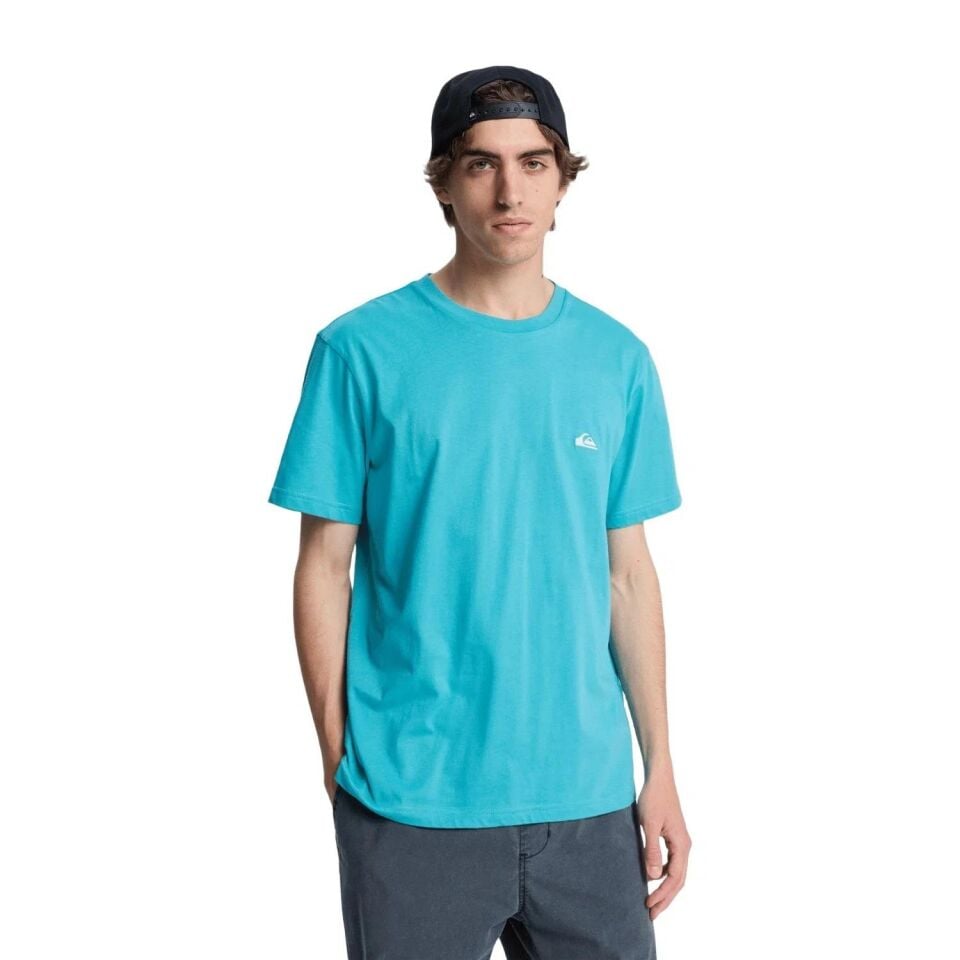 Quiksilver Basic Screen Ssym Erkek T-Shirt-EQYZT07711