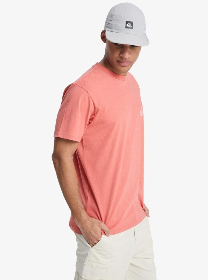 Quiksilver Ev Mini Logo Erkek T-Shirt-EQYZT08181