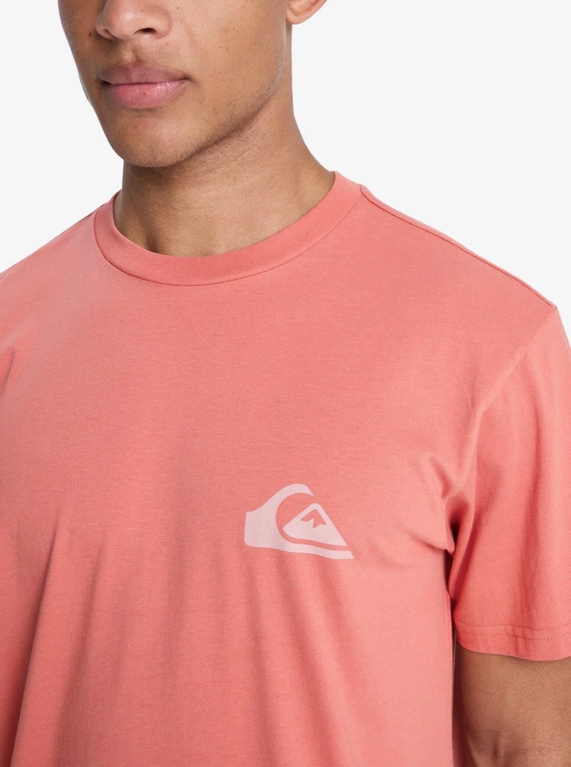 Quiksilver Ev Mini Logo Erkek T-Shirt-EQYZT08181