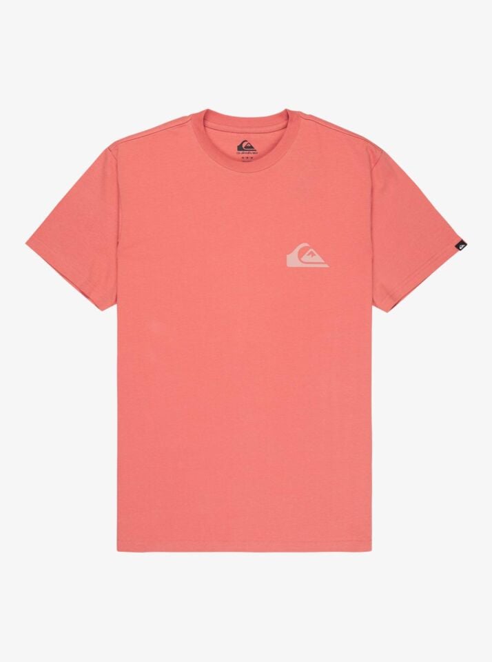 Quiksilver Ev Mini Logo Erkek T-Shirt-EQYZT08181