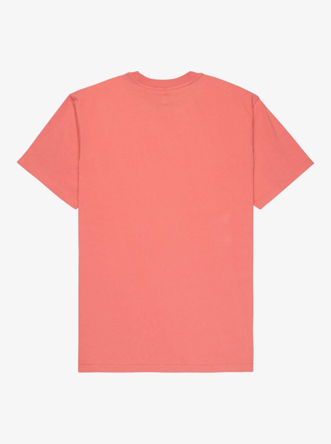 Quiksilver Ev Mini Logo Erkek T-Shirt-EQYZT08181