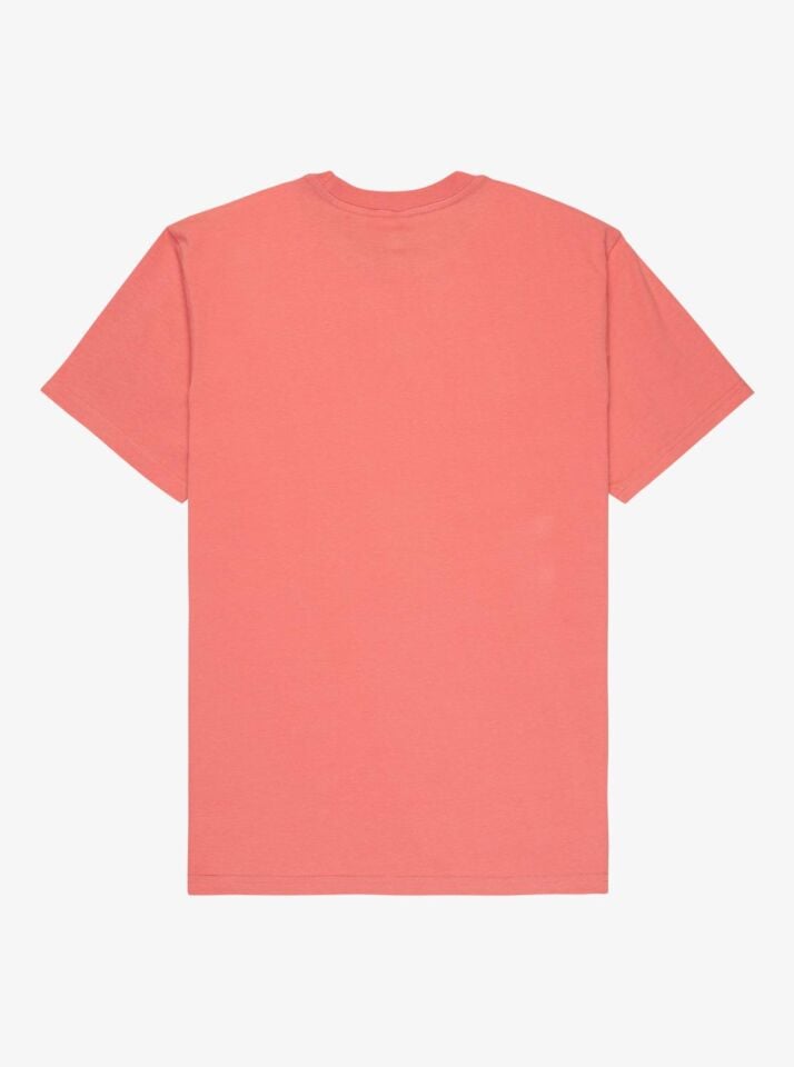 Quiksilver Ev Mini Logo Erkek T-Shirt-EQYZT08181