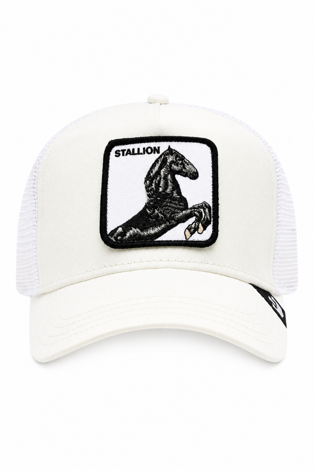 Goorin Bros The Stallion Unisex Şapka-101-0393