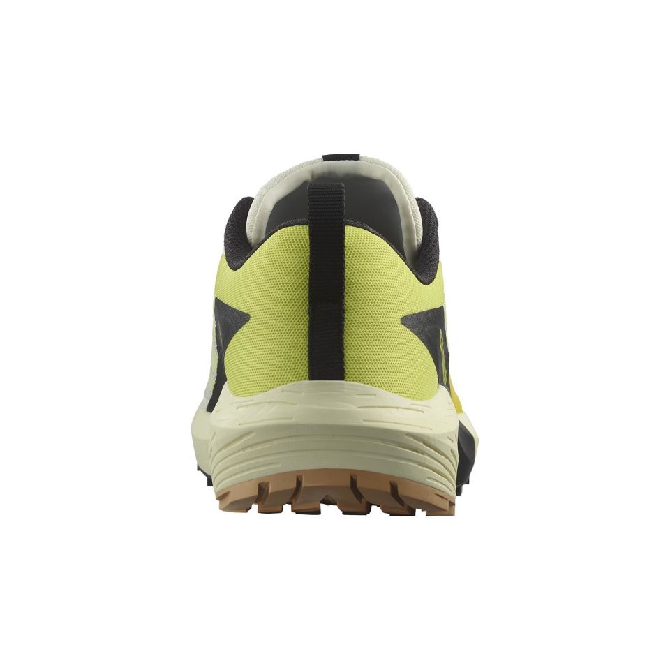 Salomon Sense Ride 5 Erkek Patika Koşu Ayakkabısı-L47458400