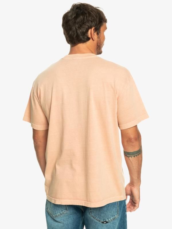 Quiksilver Naturaldye Erkek T-Shirt-EQYKT04265