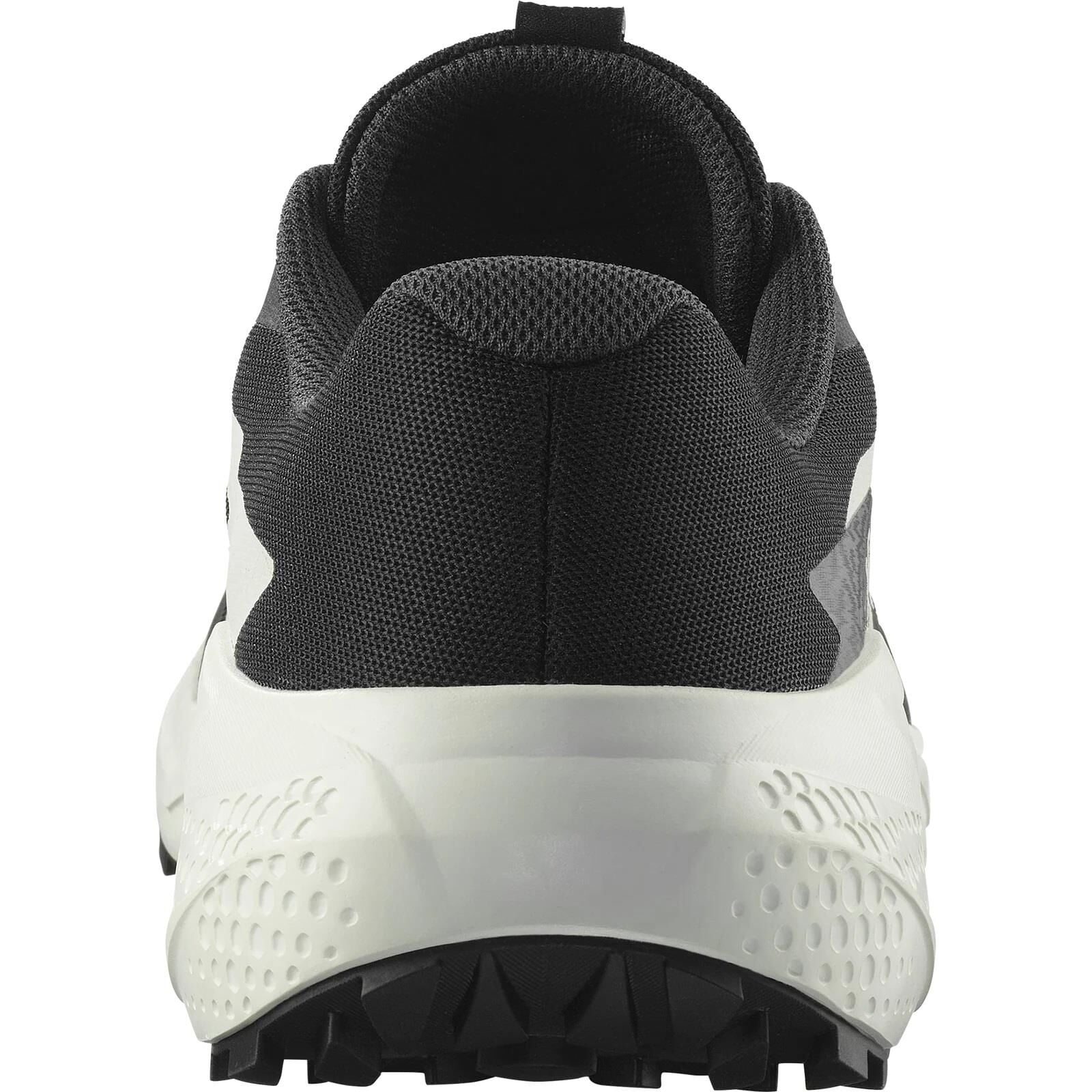 Salomon Alphaglide Kadın Patika Koşu Ayakkabısı-L47801500