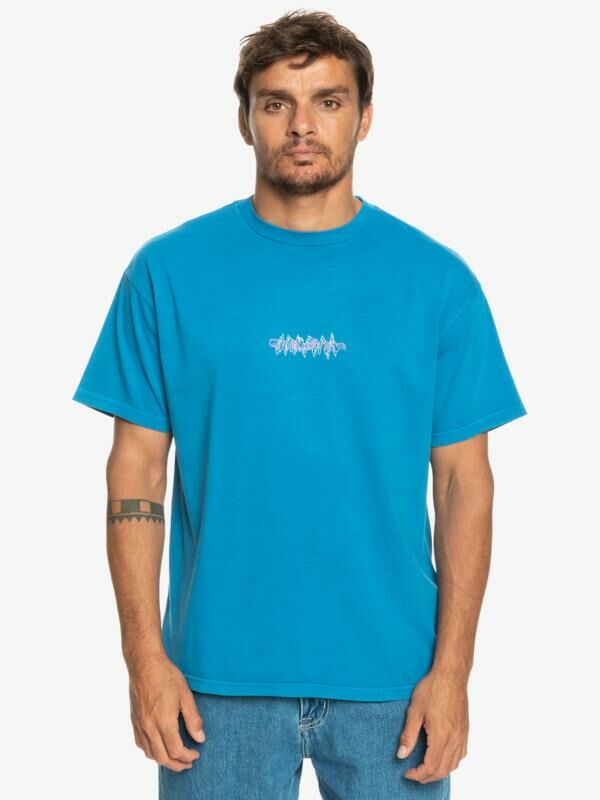 Quiksilver Qsconnected Tees Erkek T-Shirt-EQYZT07255BRT