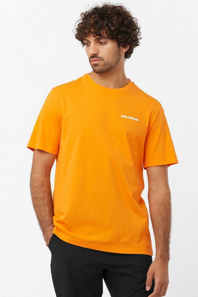 Salomon Graphic Perf SS Tee Erkek T-Shirt-LC2219700