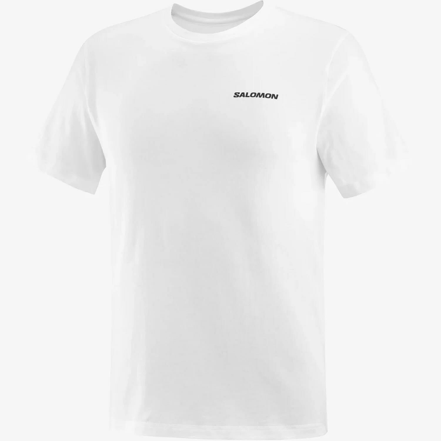 Salomon Graphic Perf SS Tee Erkek T-Shirt-LC2219500