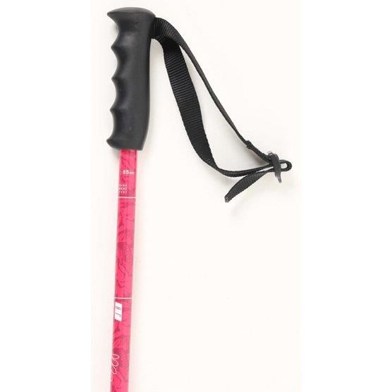 Salomon Brigade JR Çocuk Kayak Batonu-L40827800PP1
