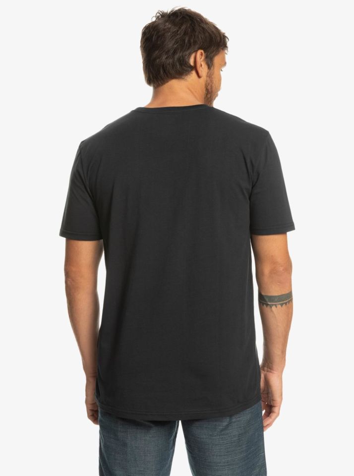 Quiksilver Complogo Tees Erkek T-Shirt-EQYZT06534KV0