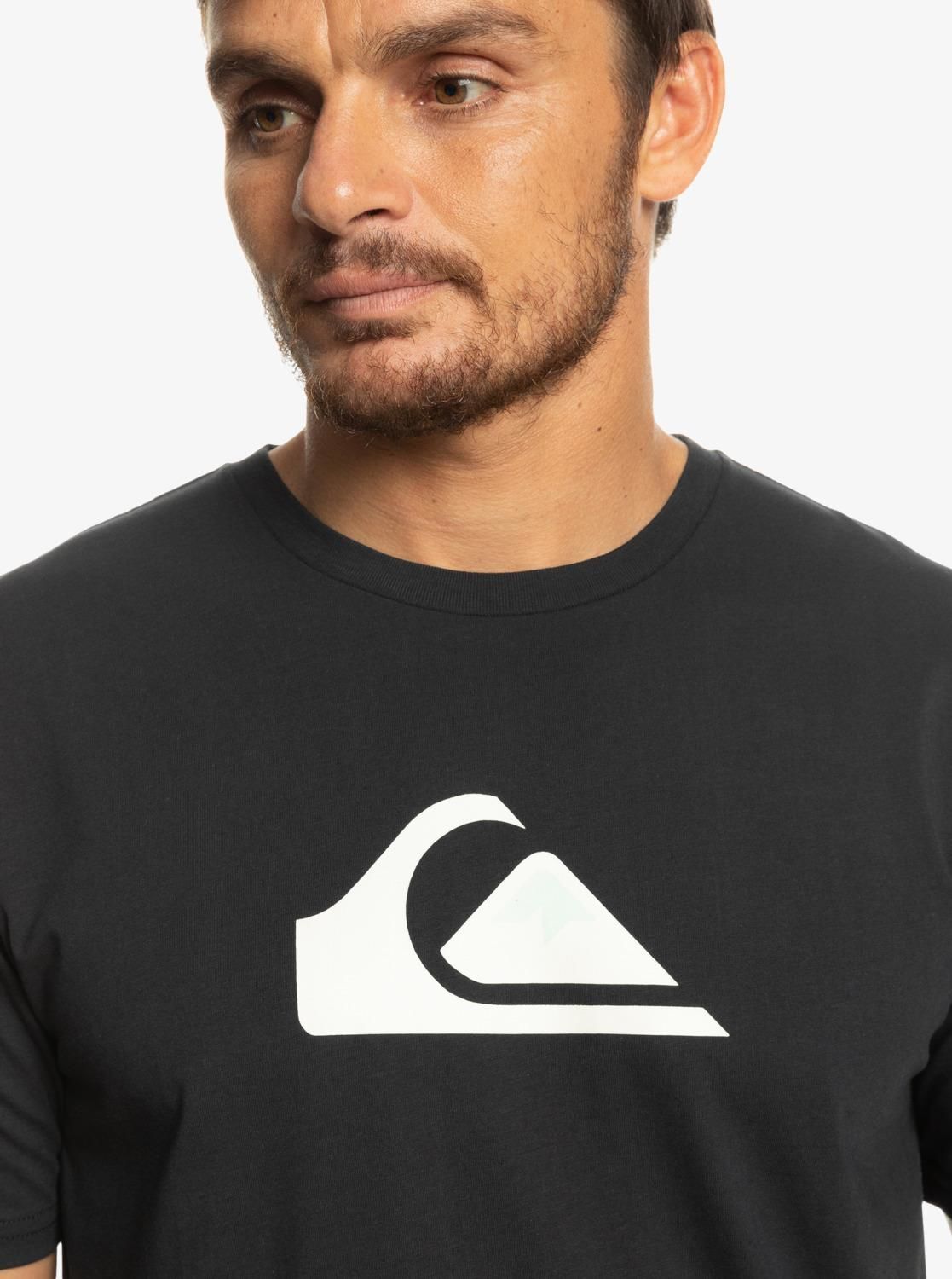 Quiksilver Complogo Tees Erkek T-Shirt-EQYZT06534