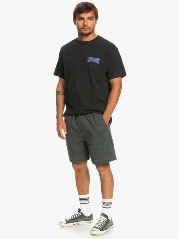 Quiksilver Taxer Elastik Erkek Şort-EQYWS03827A/S