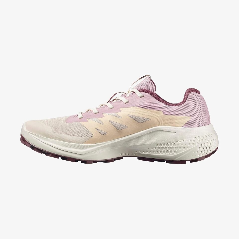 Salomon Alphaglide Kadın Patika Koşu Ayakkabısı-L49092800