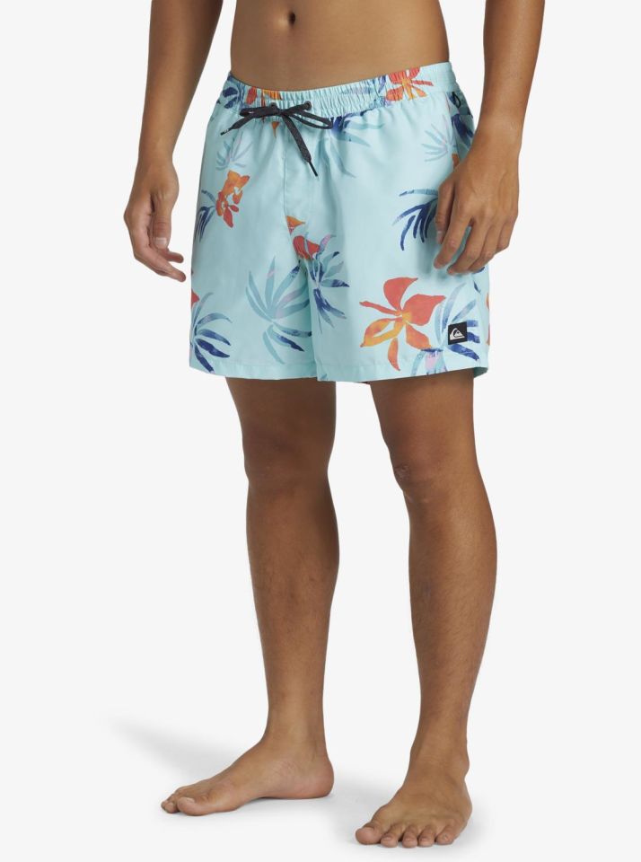 Quiksilver Everyday Mix Volley 15 Erkek Deniz Şortu-AQYJV03147