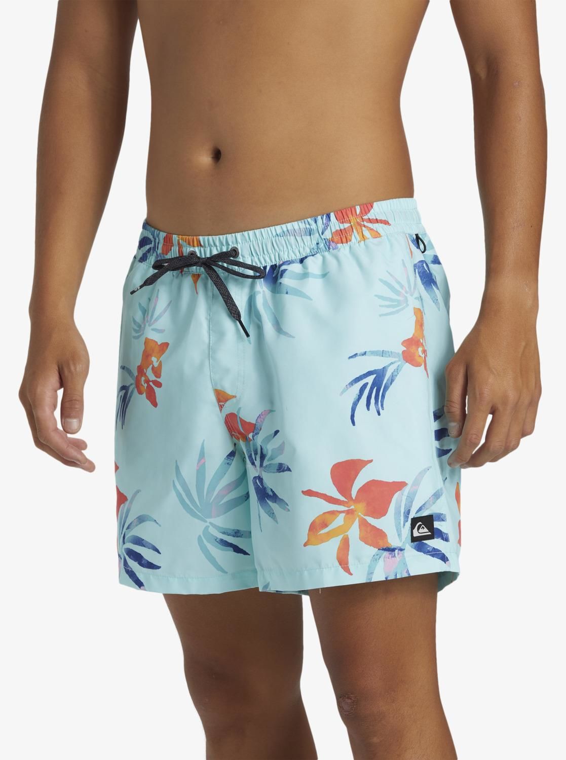 Quiksilver Everyday Mix Volley 15 Erkek Deniz Şortu-AQYJV03147