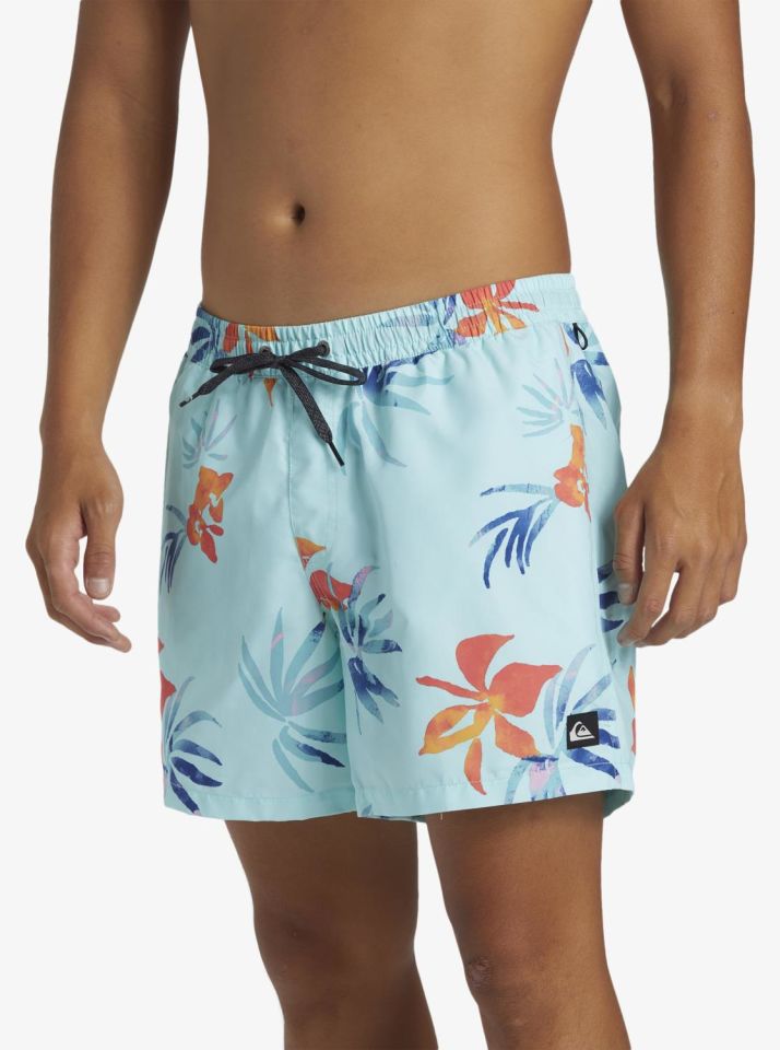 Quiksilver Everyday Mix Volley 15 Erkek Deniz Şortu-AQYJV03147