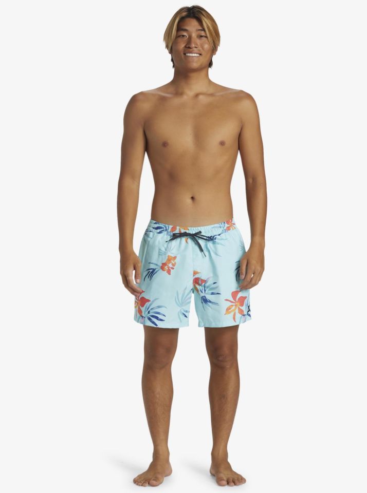 Quiksilver Everyday Mix Volley 15 Erkek Deniz Şortu-AQYJV03147
