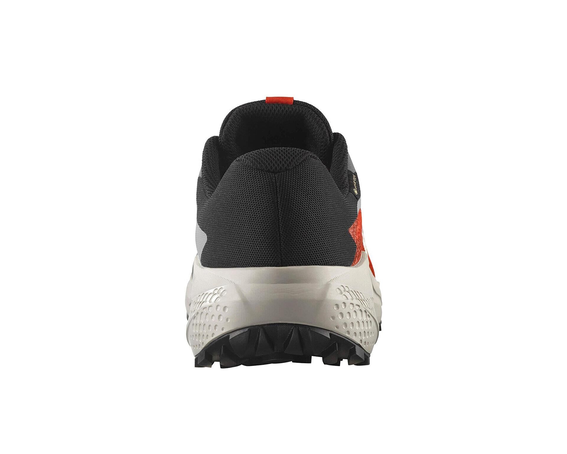 Salomon Alphaglide Gore-Tex Erkek Patika Koşu Ayakkabısı-L47975300