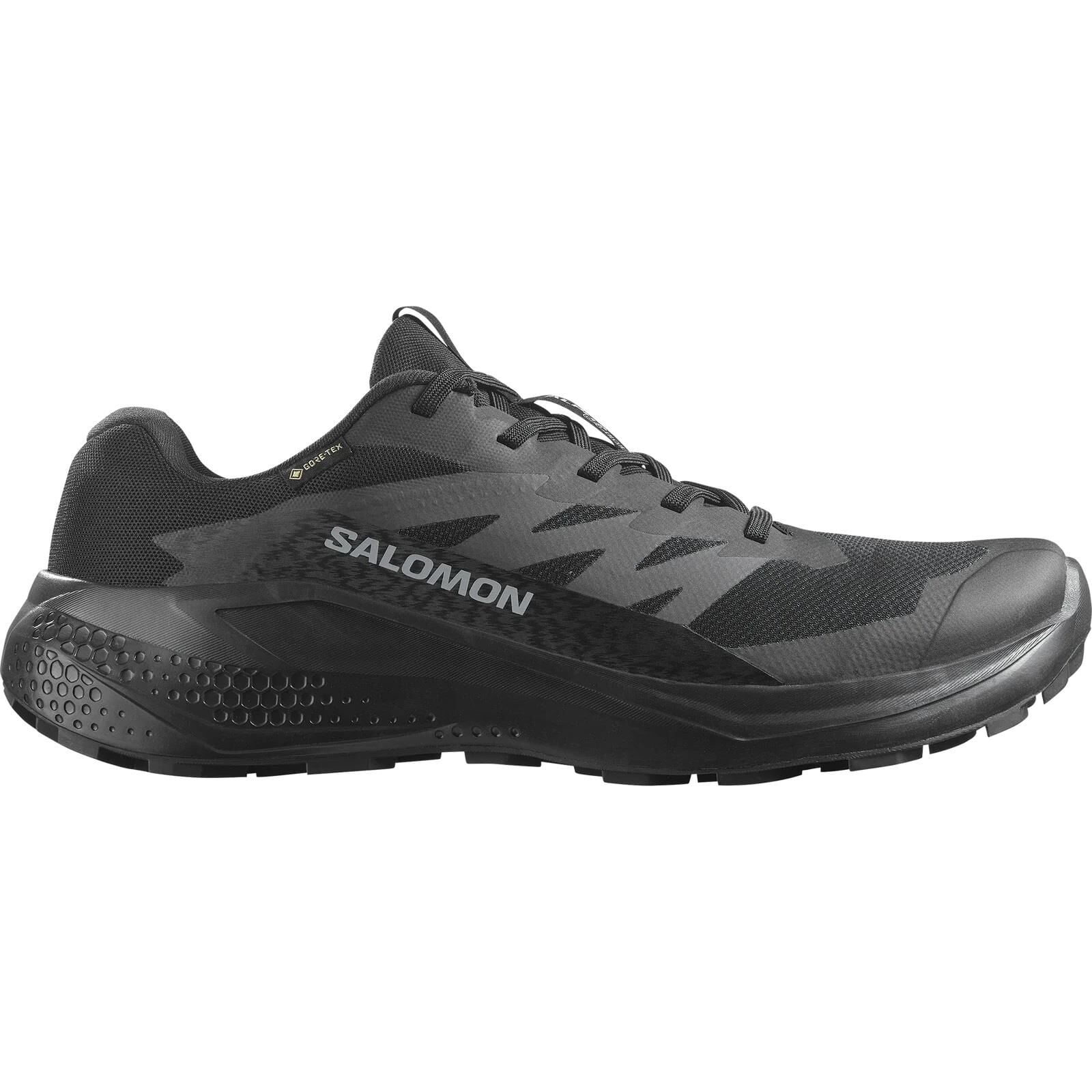 Salomon Alphaglide Gore-Tex Erkek Patika Koşu Ayakkabısı-L47802100