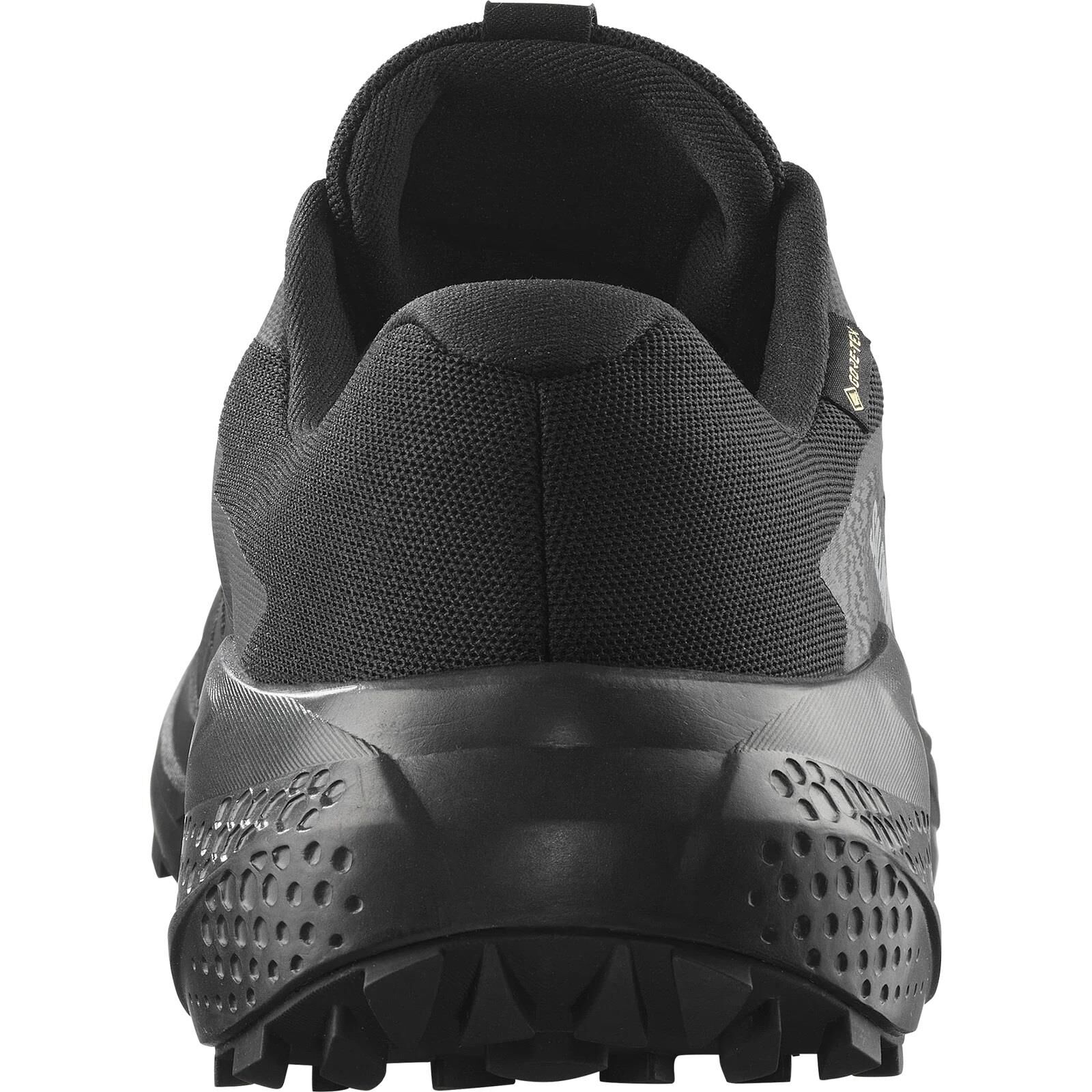 Salomon Alphaglide Gore-Tex Erkek Patika Koşu Ayakkabısı-L47802100