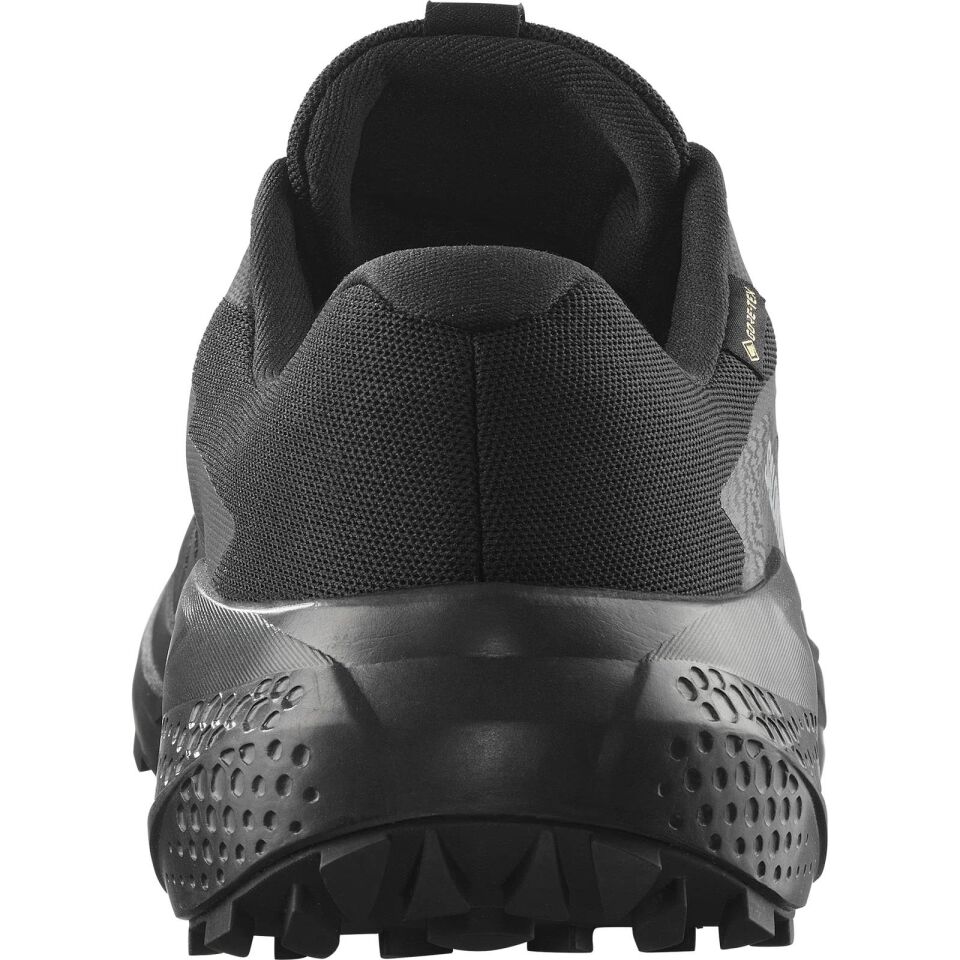 Salomon Alphaglide Gore-Tex Erkek Patika Koşu Ayakkabısı-L47802100