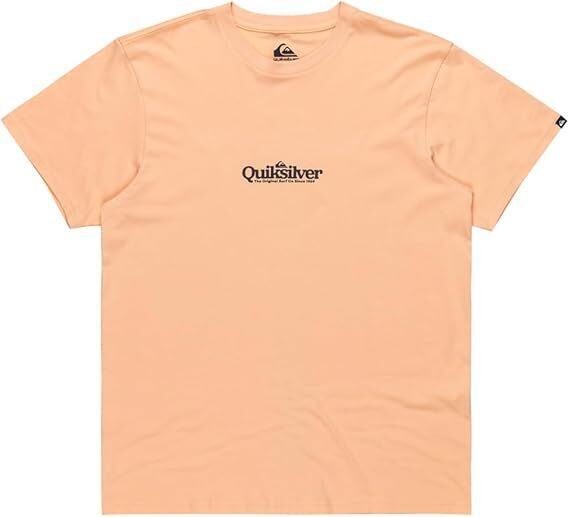 Quiksilver Fineline SS Erkek T-Shirt-EQYZT08062
