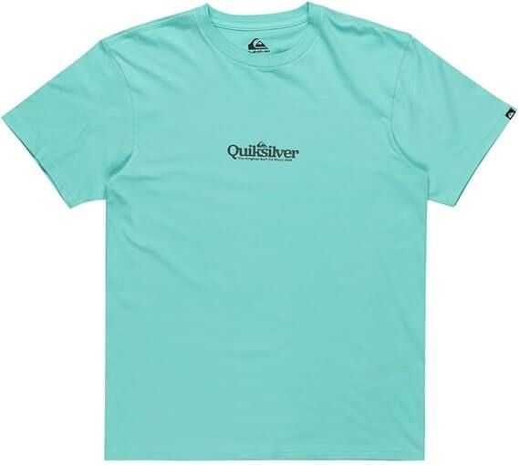 Quiksilver Fineline SS Erkek T-Shirt-EQYZT08062