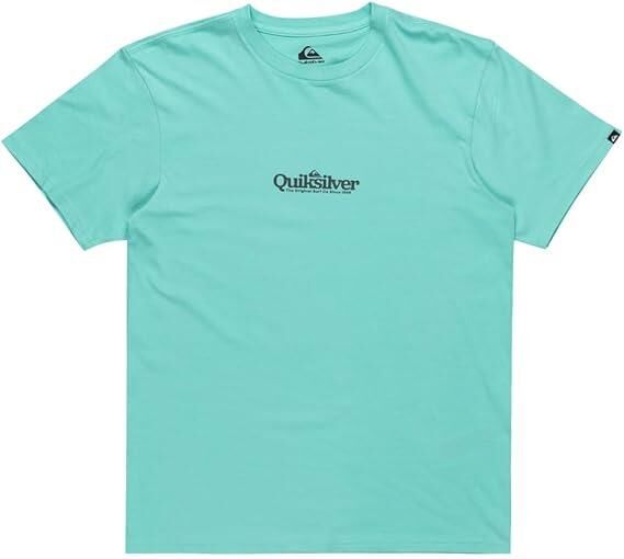 Quiksilver Fineline SS Erkek T-Shirt-EQYZT08062