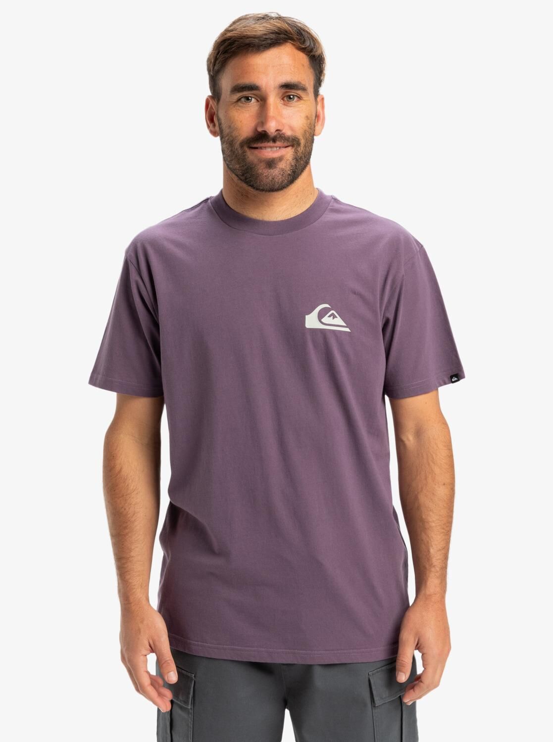 Quiksilver Ev Mini Logo SS Erkek T-Shirt-EQYZT08042