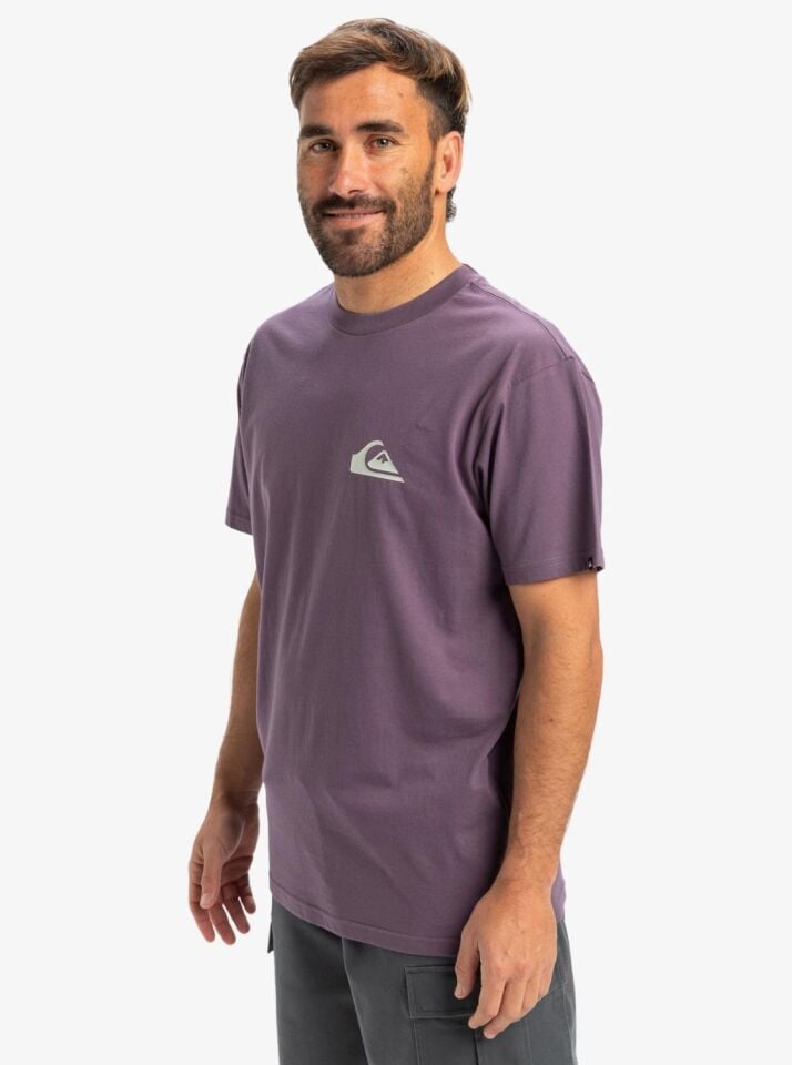 Quiksilver Ev Mini Logo SS Erkek T-Shirt-EQYZT08042