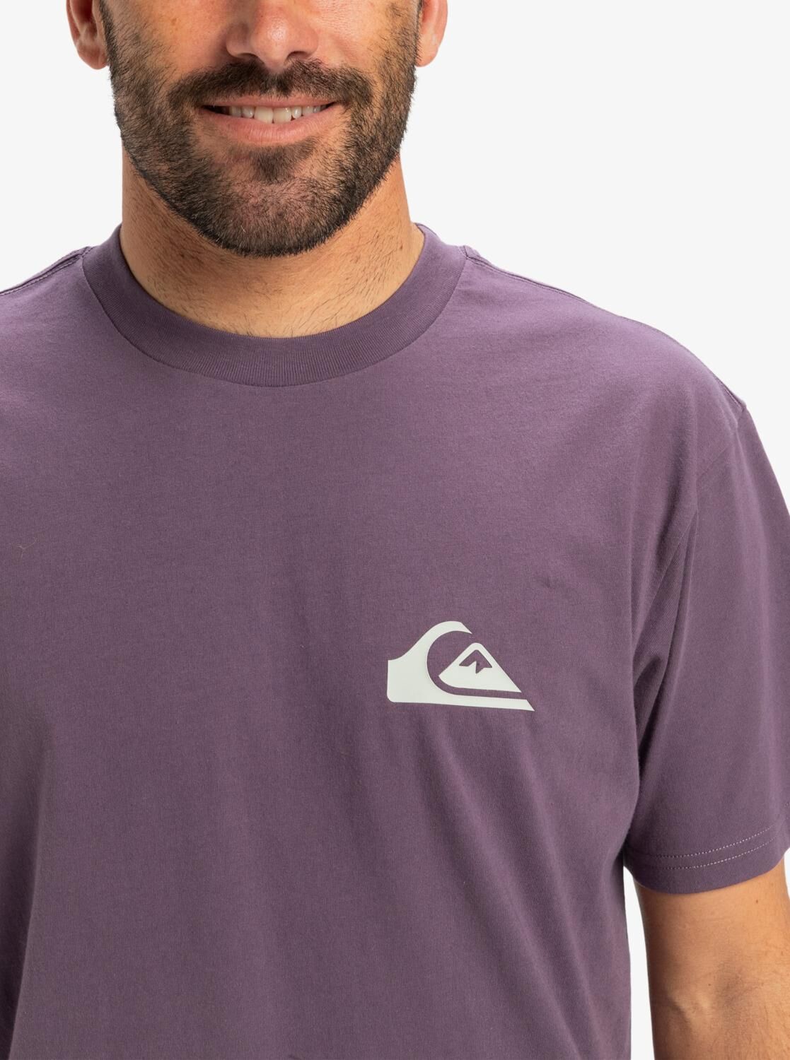 Quiksilver Ev Mini Logo SS Erkek T-Shirt-EQYZT08042