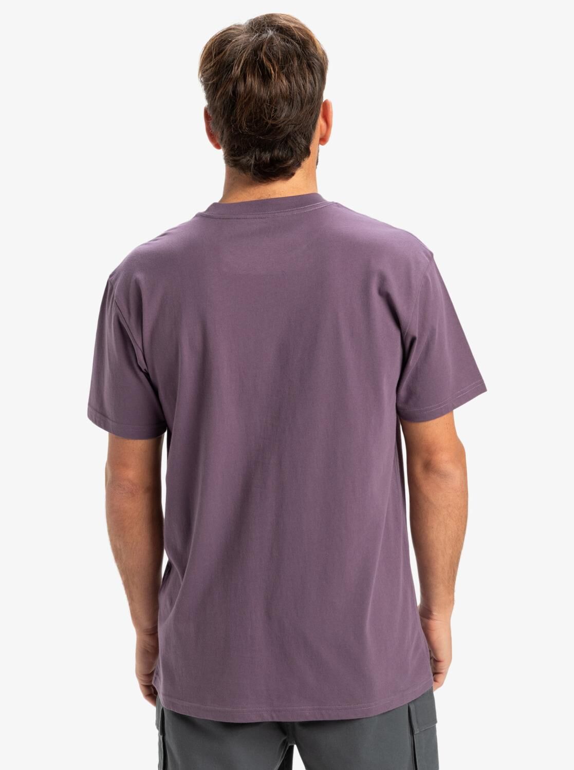 Quiksilver Ev Mini Logo SS Erkek T-Shirt-EQYZT08042