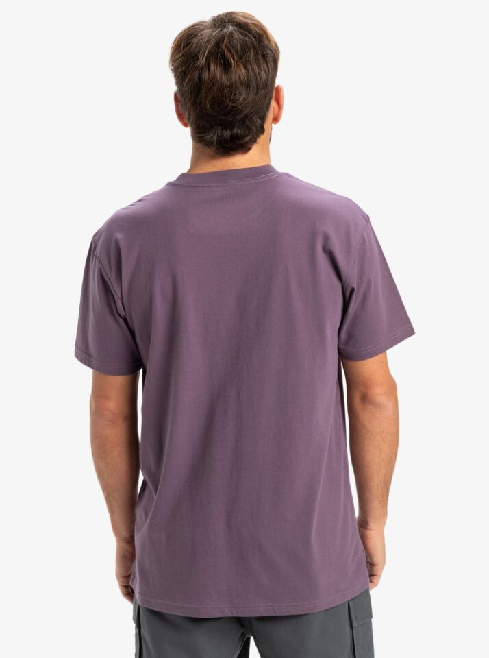 Quiksilver Ev Mini Logo SS Erkek T-Shirt-EQYZT08042