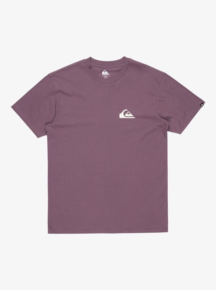 Quiksilver Ev Mini Logo SS Erkek T-Shirt-EQYZT08042