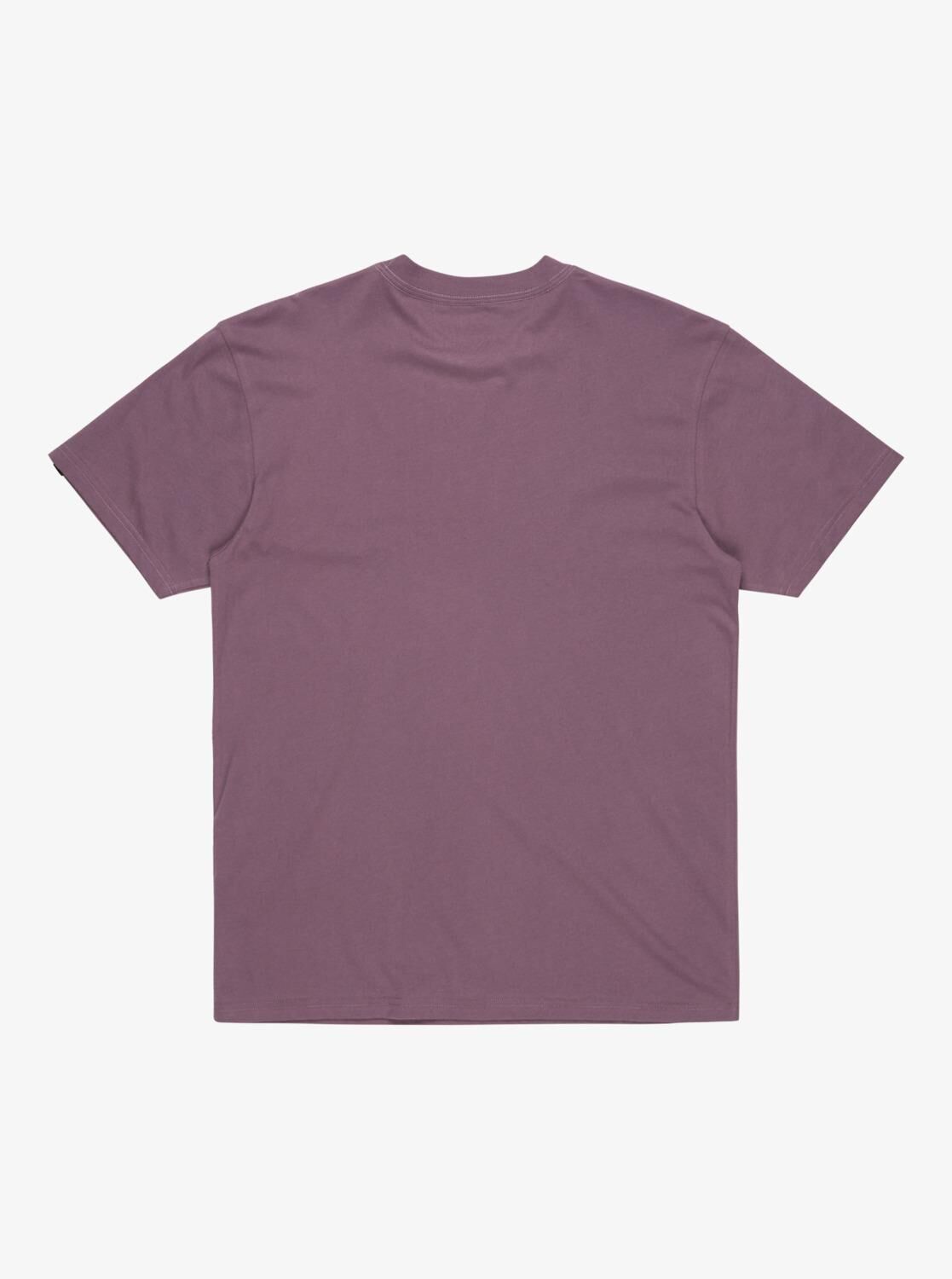 Quiksilver Ev Mini Logo SS Erkek T-Shirt-EQYZT08042
