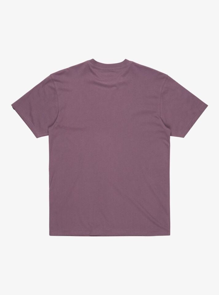 Quiksilver Ev Mini Logo SS Erkek T-Shirt-EQYZT08042
