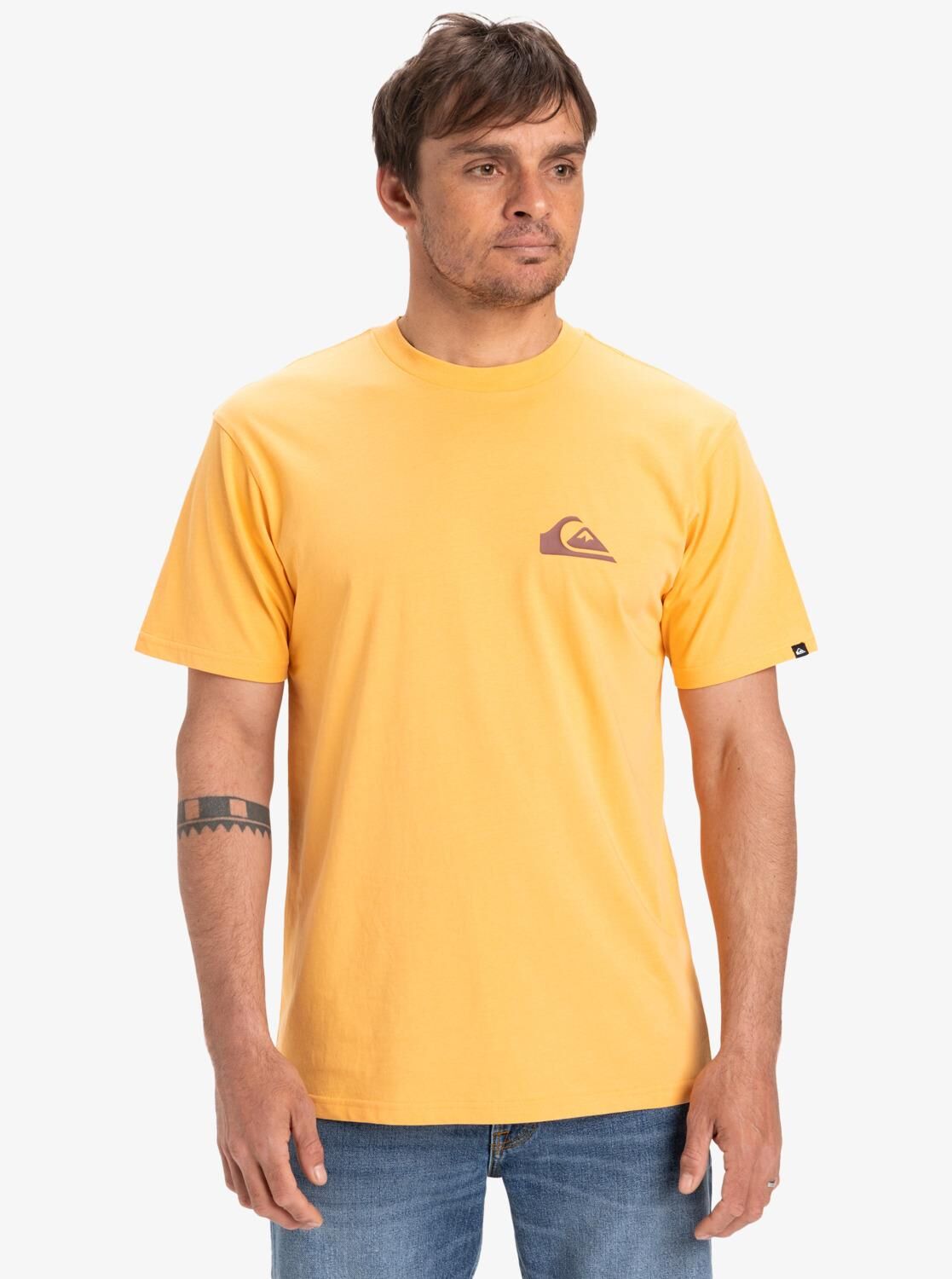 Quiksilver Ev Mini Logo SS Erkek T-Shirt-EQYZT08042