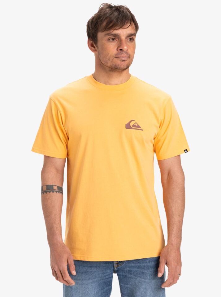 Quiksilver Ev Mini Logo SS Erkek T-Shirt-EQYZT08042