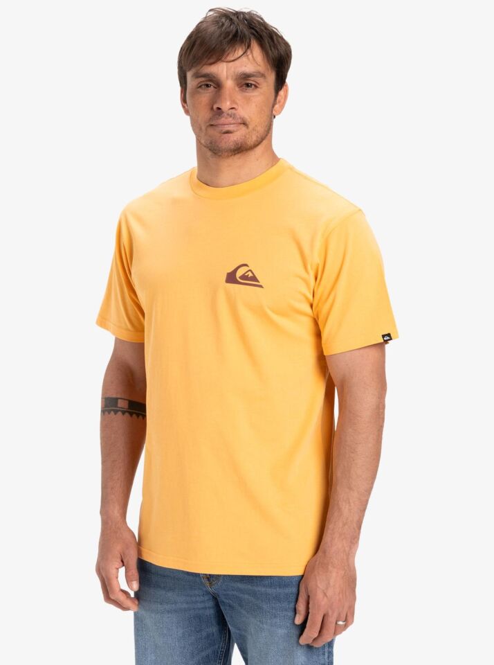 Quiksilver Ev Mini Logo SS Erkek T-Shirt-EQYZT08042