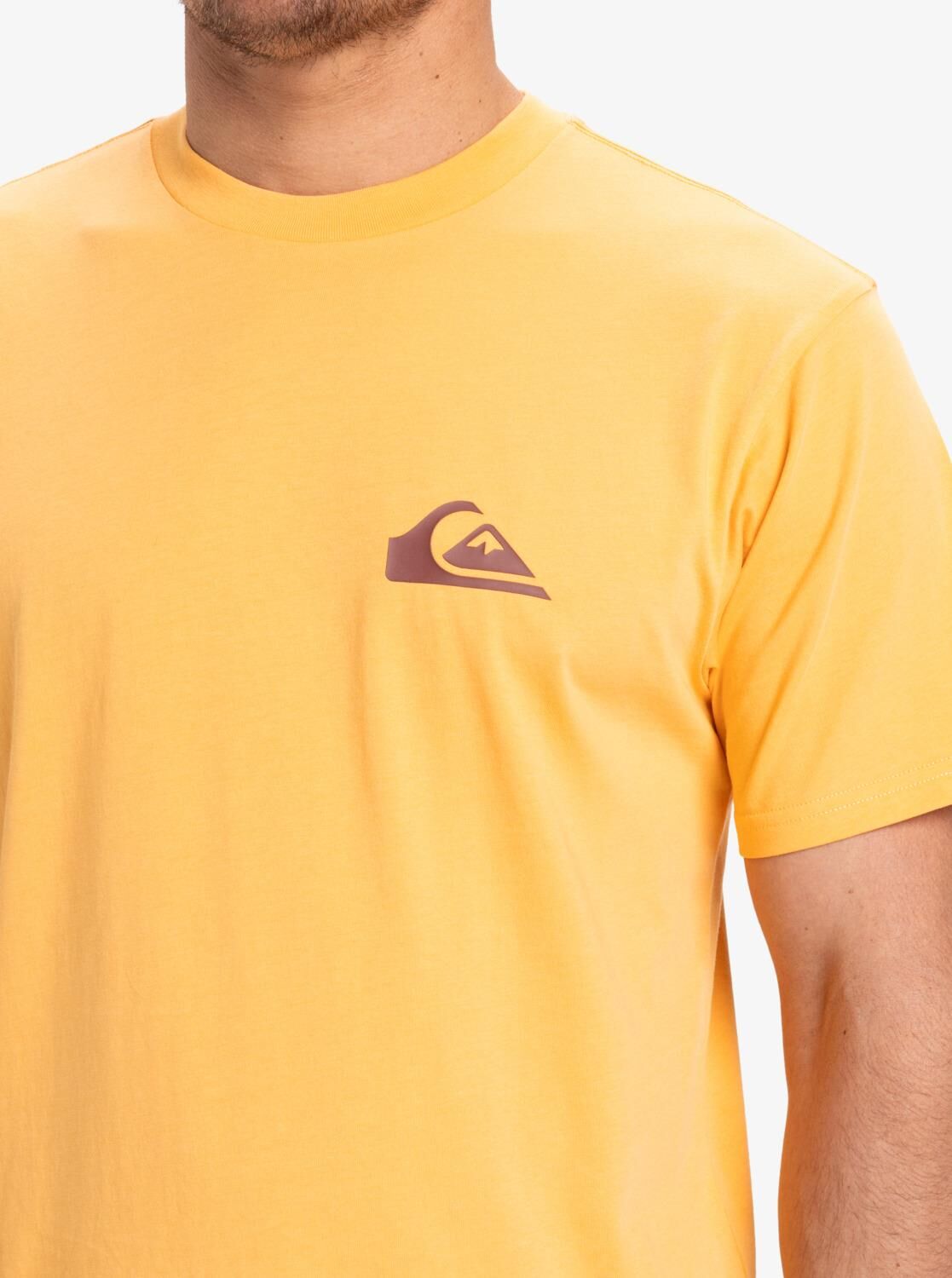 Quiksilver Ev Mini Logo SS Erkek T-Shirt-EQYZT08042