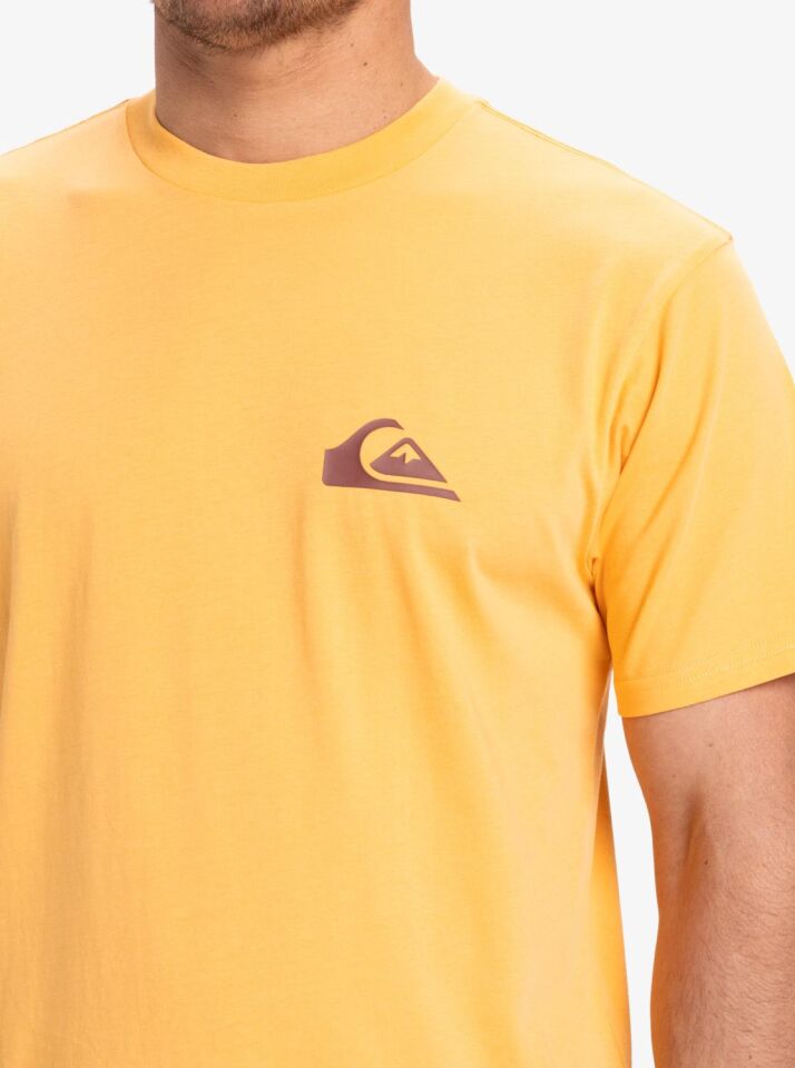Quiksilver Ev Mini Logo SS Erkek T-Shirt-EQYZT08042