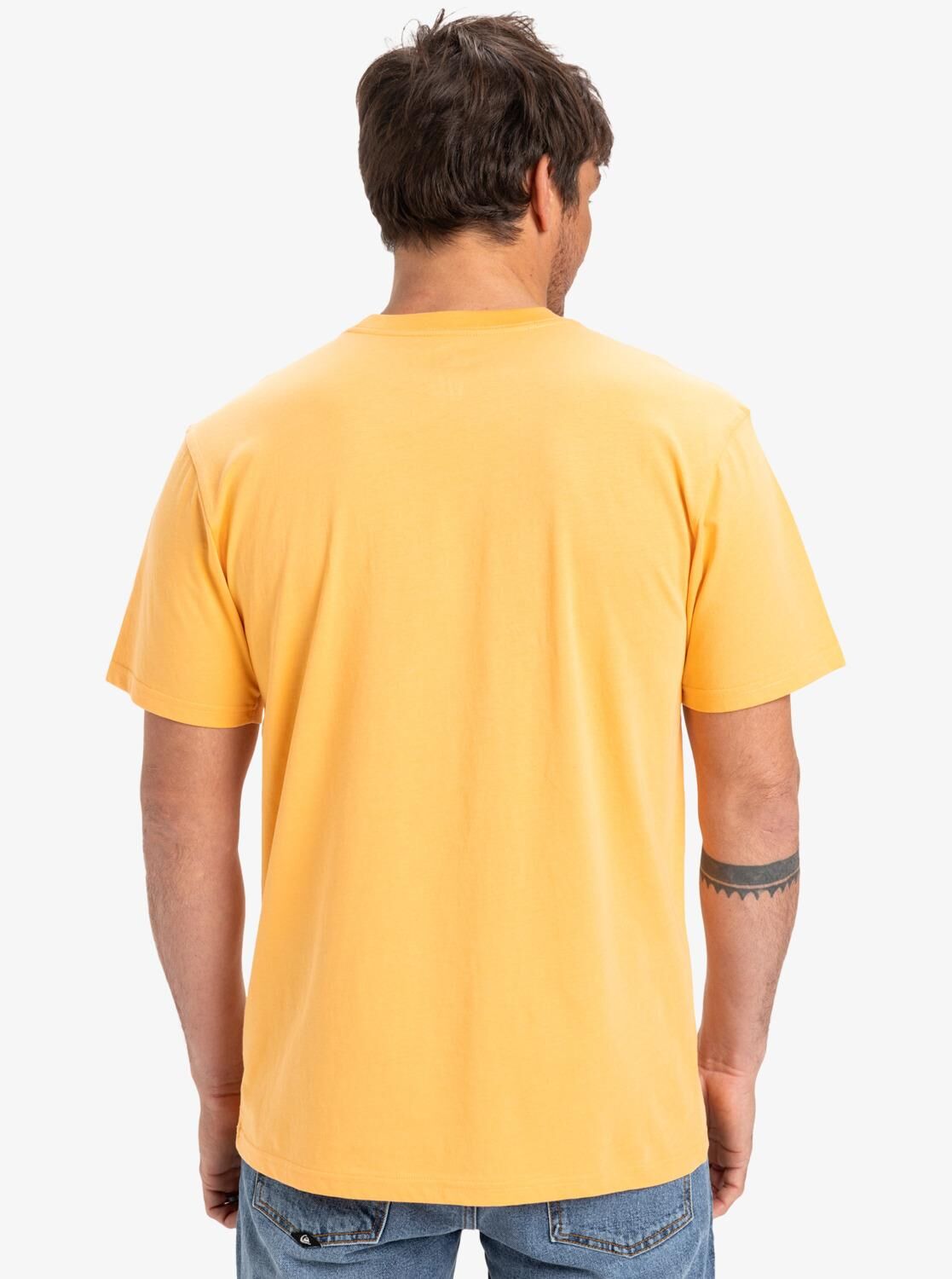 Quiksilver Ev Mini Logo SS Erkek T-Shirt-EQYZT08042