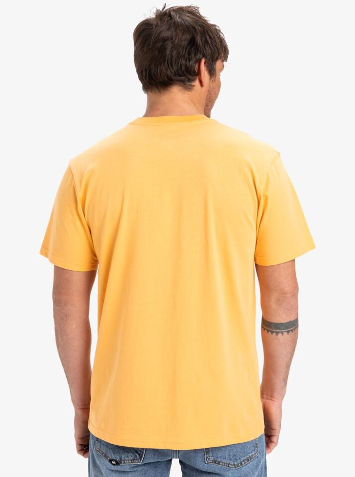 Quiksilver Ev Mini Logo SS Erkek T-Shirt-EQYZT08042